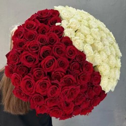 101 Trandafiri 70 cm