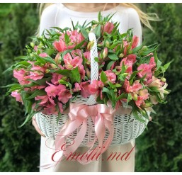 Pink Alstroemeria in the Basket