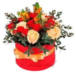 Aranjament "Vis Implinit"