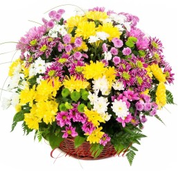 Basket with Chrysanthemums Mix