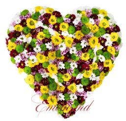 Mixed Chrysanthemum Heart