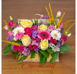 Cutie Carte "Mix de Culori"