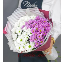 Buchet din Crizanteme Albe si Roz