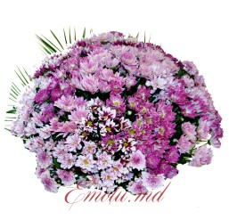 Pink Chrysanthemum Basket
