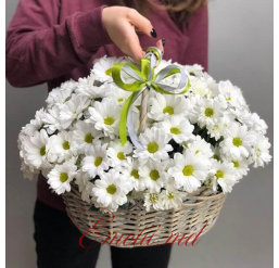 White Chrysanthemum Basket