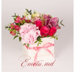 Hortensie, Orhidee si Trandafiri in Cutie