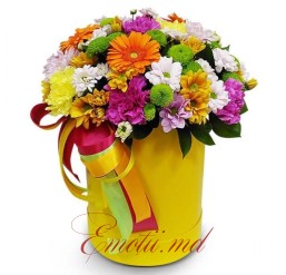 Box of Assorted Chrysanthemums