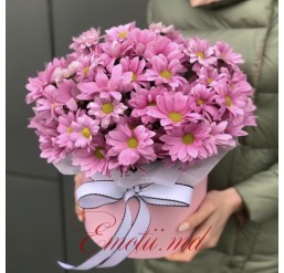 Cutie cu 19 Crizanteme Roz