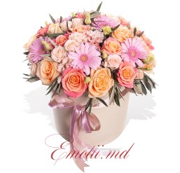 Aranjament "Rafinament Gingas"