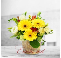 Aranjament Floral cu Gerbera