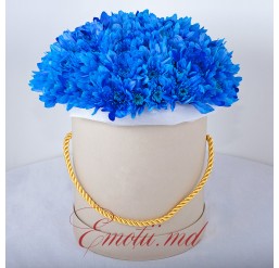 Blue Chrysanthemum Box