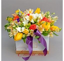 Aranjament cu Frezii si Lalele