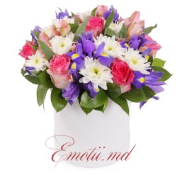 Cutie " Culori de Primavara"