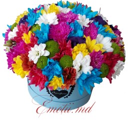Box of Colored Chrysanthemums