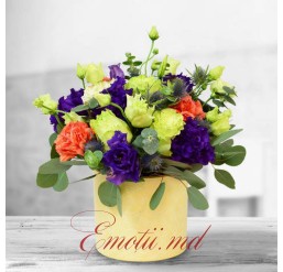 Cutie "Moment de Sărbătoare"