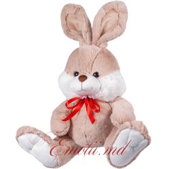 Cute Bunny (55 cm)